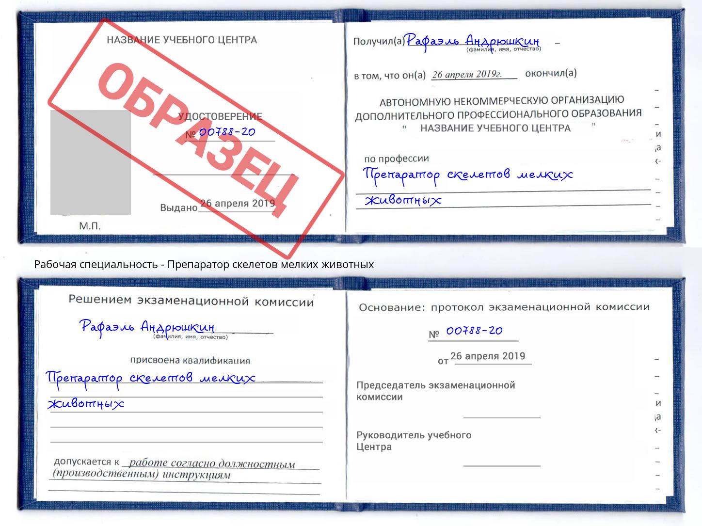 Препаратор скелетов мелких животных Новочеркасск