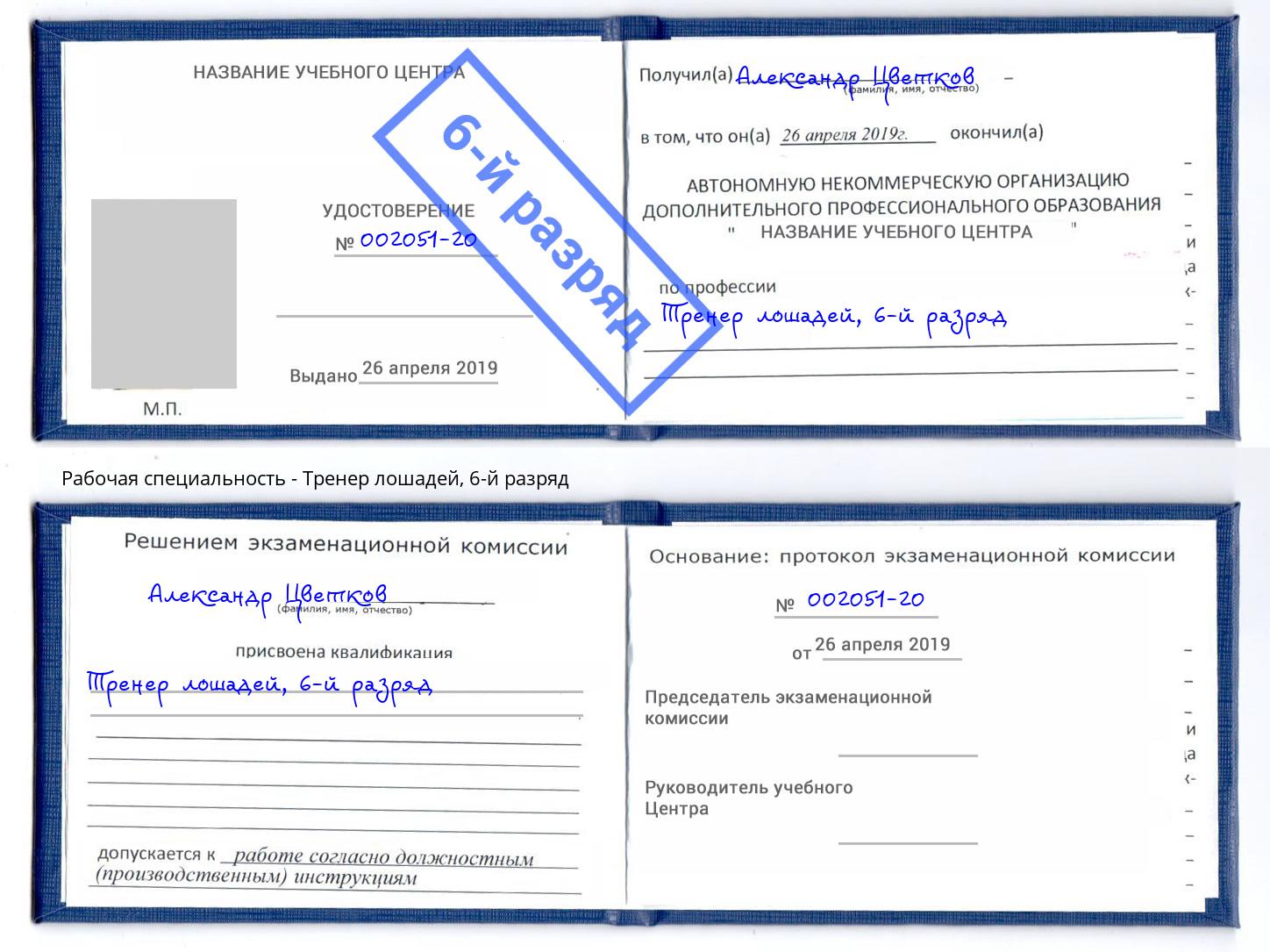 корочка 6-й разряд Тренер лошадей Новочеркасск
