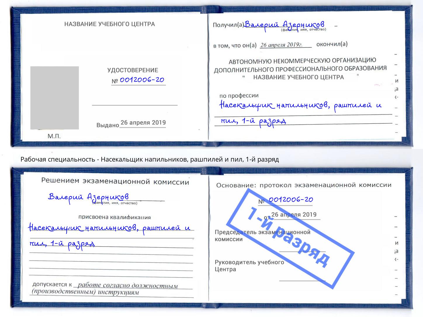 корочка 1-й разряд Насекальщик напильников, рашпилей и пил Новочеркасск