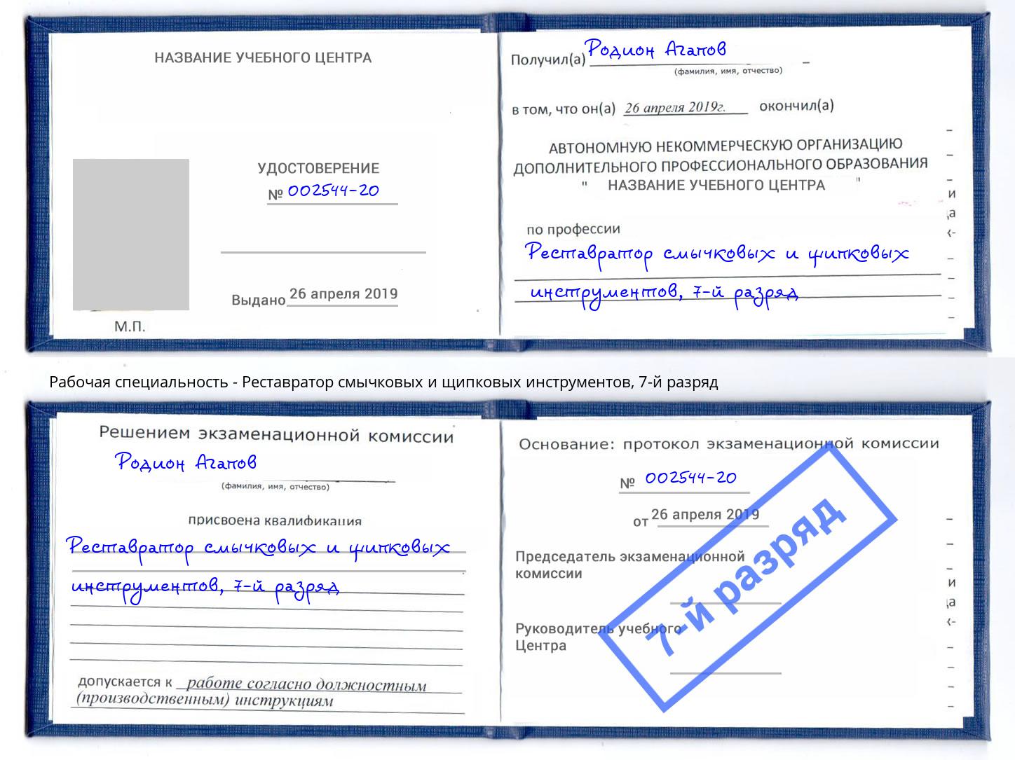 корочка 7-й разряд Реставратор смычковых и щипковых инструментов Новочеркасск